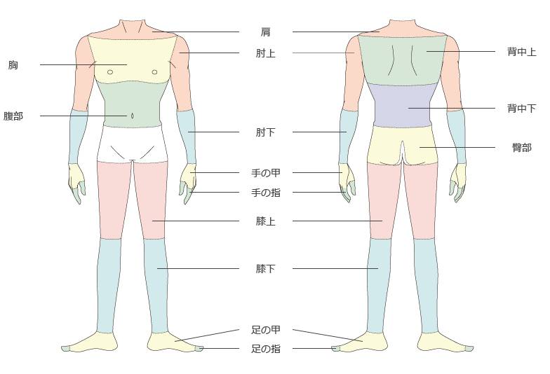 (体の脱毛料金写真)
